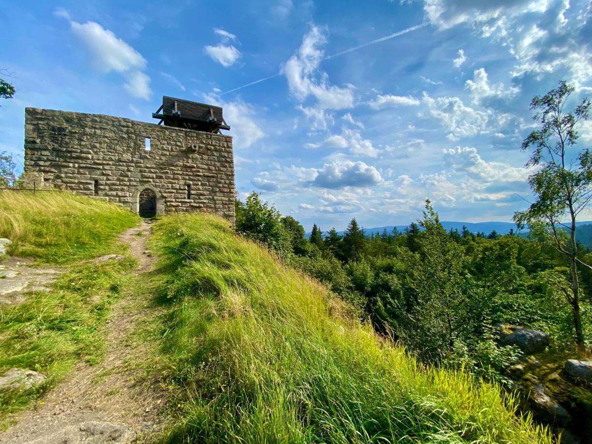 Ferienwohnung Oxana Im Naturpark Fichtelgebirge Schonwald  エクステリア 写真