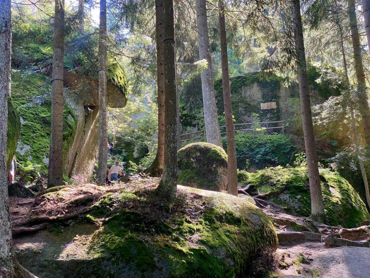 Ferienwohnung Oxana Im Naturpark Fichtelgebirge Schonwald  エクステリア 写真