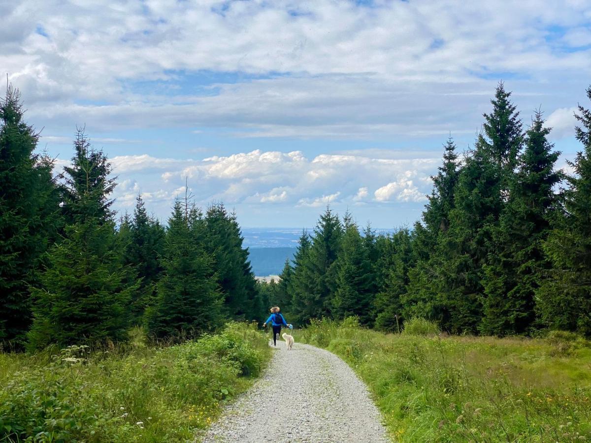 Ferienwohnung Oxana Im Naturpark Fichtelgebirge Schonwald  エクステリア 写真