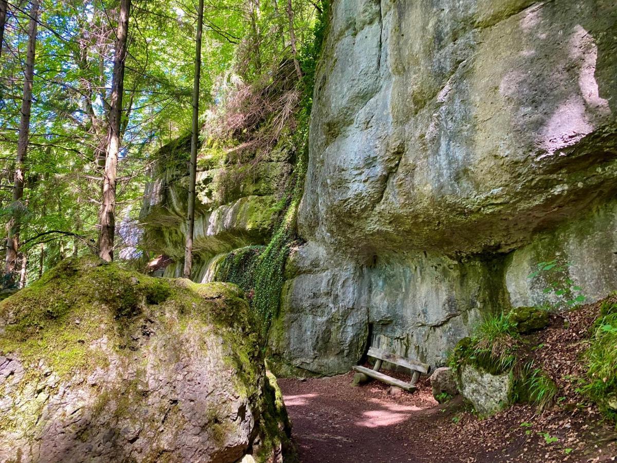 Ferienwohnung Oxana Im Naturpark Fichtelgebirge Schonwald  エクステリア 写真