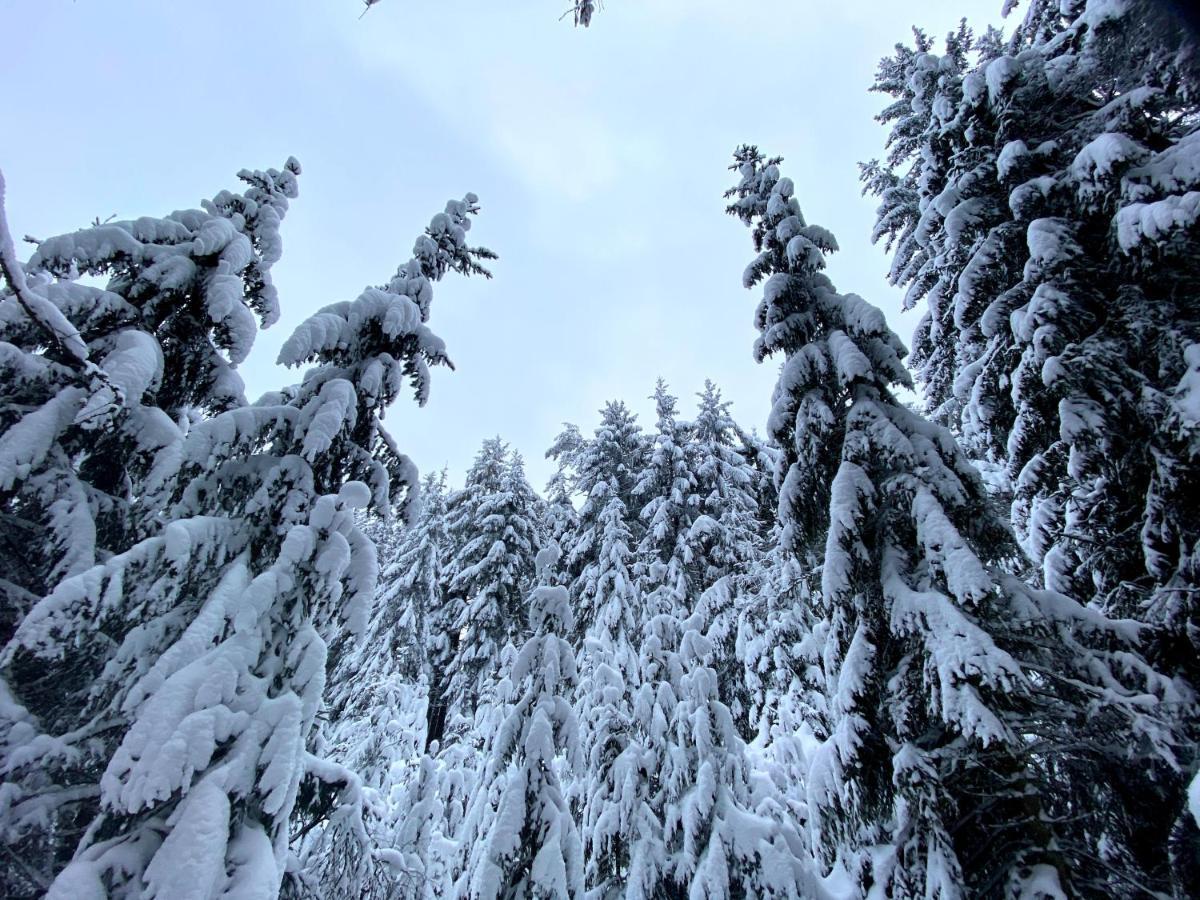Ferienwohnung Oxana Im Naturpark Fichtelgebirge Schonwald  エクステリア 写真