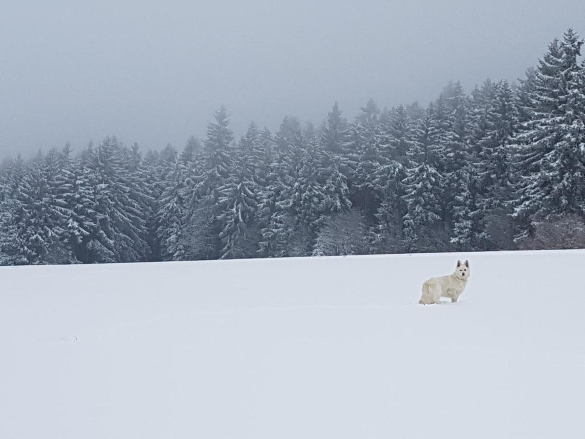 Ferienwohnung Oxana Im Naturpark Fichtelgebirge Schonwald  エクステリア 写真