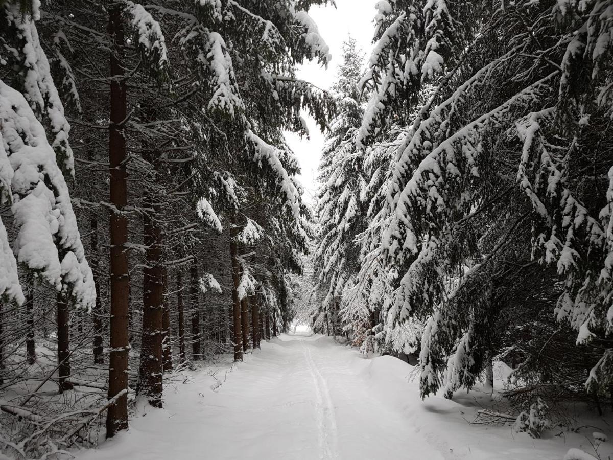 Ferienwohnung Oxana Im Naturpark Fichtelgebirge Schonwald  エクステリア 写真