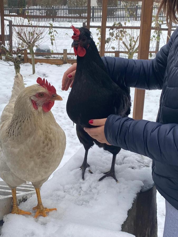 Ferienwohnung Oxana Im Naturpark Fichtelgebirge Schonwald  エクステリア 写真